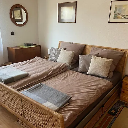 In Koblenz, Nahe Uni Und Bwzk Mit Garten Apartment